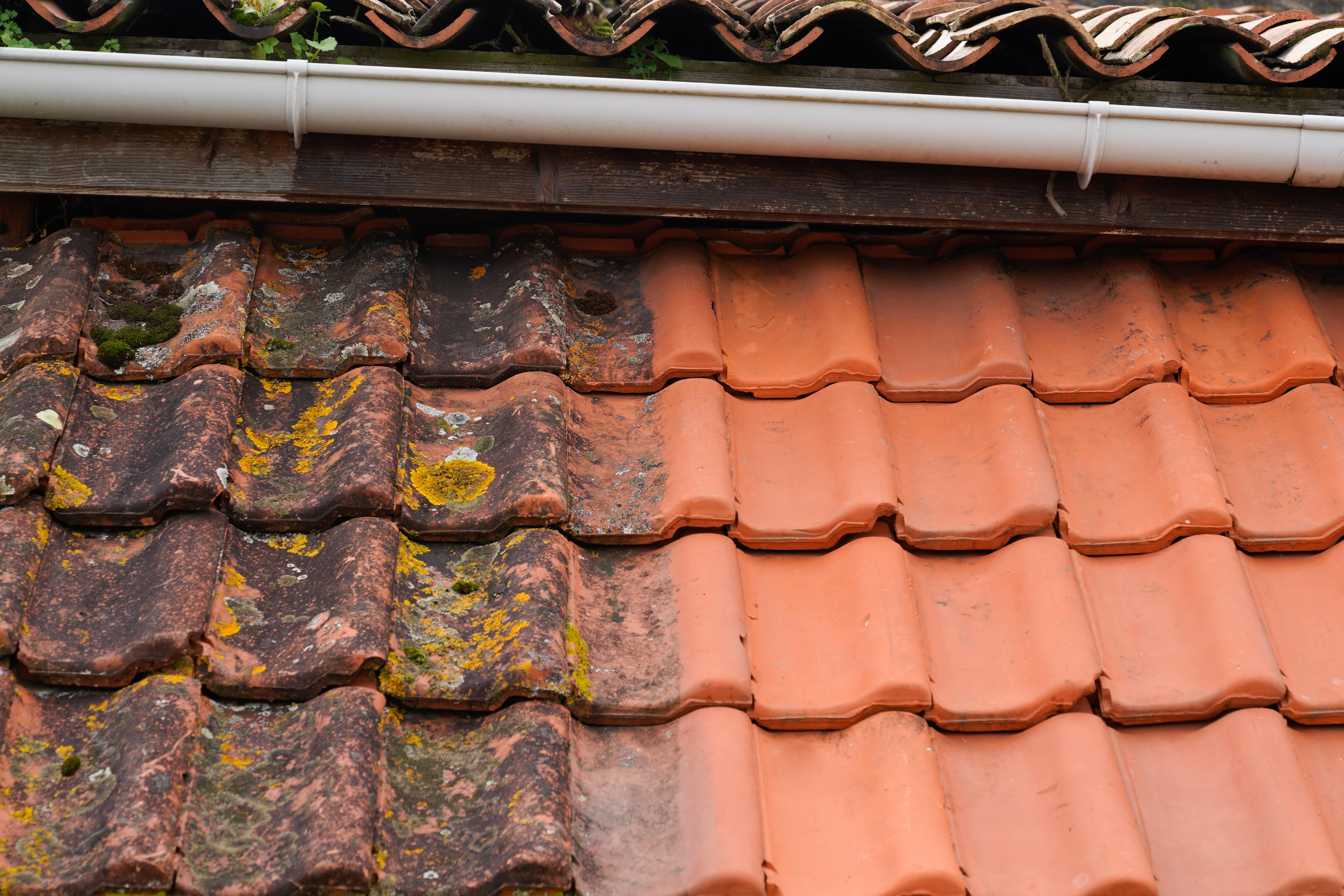 Insurance Companies Require Roof Cleaning