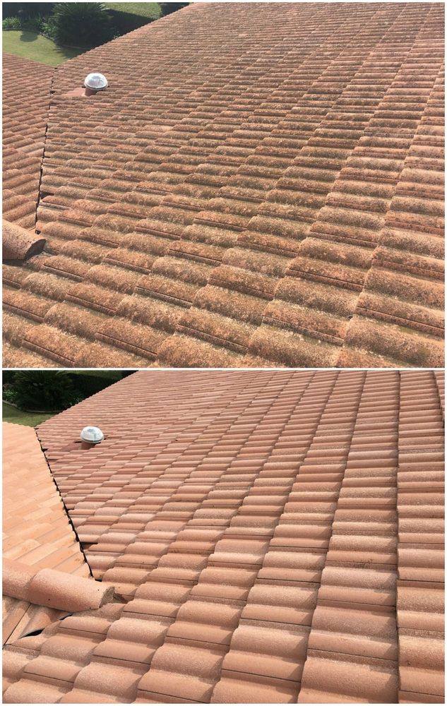 before and after roof cleaning