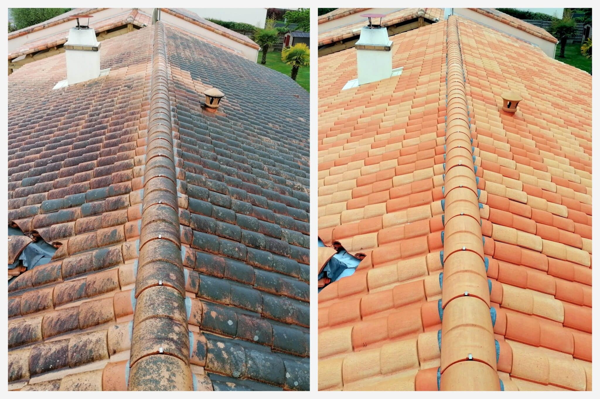 before and after shingle roof cleaning